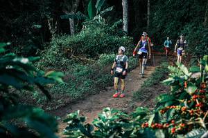 BIB: 
                            <button type="button" onclick="openModal(25813342)" class="btn btn-primary btn-sm float-right btn-popup" data-toggle="modal" data-target=".modal-high-quality">
                        <i class="fas fa-shopping-cart"></i> Add to Cart
                    </button>
                                            <button type="button" onclick="isThisMe(25813342, true)" class="btn btn-success btn-sm float-right btn-popup btn-isme hidden" data-toggle="tooltip" data-placement="bottom" title="นี่คือรูปของคุณใช่ไหม คลิกที่นี่เพื่อเอาเข้าอัลบั้ม">
                        <i class="fas fa-plus"></i> Add to album
                    </button>
                    <button type="button" onclick="isThisMe(25813342, false)" class="btn btn-warning btn-sm float-right btn-popup btn-isnotme hidden">
                        <i class="fas fa-ban"></i> Remove from album
                    </button>